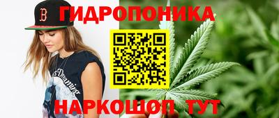 дживик Кинель